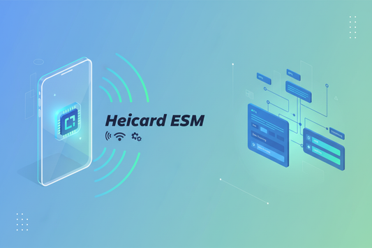 Heicard Esim : WiFi port change 12301