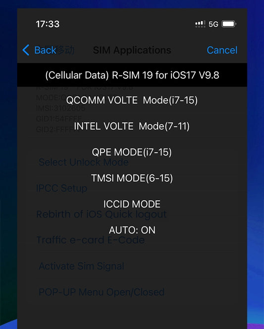 Rsim19 Card Unlock Chip for iPhone 16 15 14 13 12 11 Xr Xmax